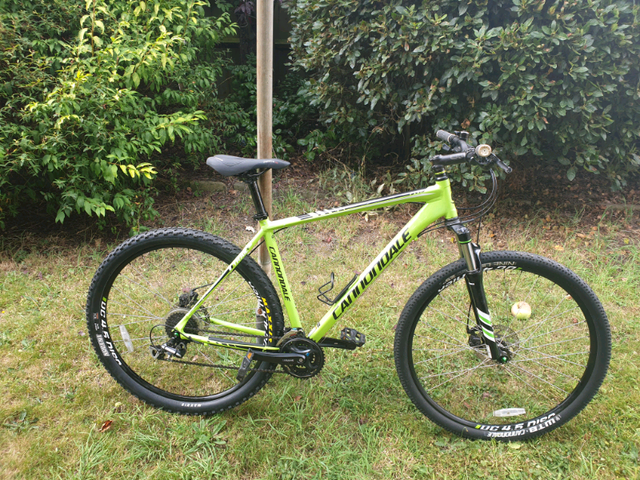 cannondale trail 5 275